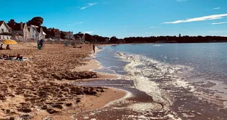 Le Tom de Royan - Seguy Pascaline Le Tom de Royan - Seguy Pascaline