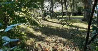 Camping insolite au Camping du Parc