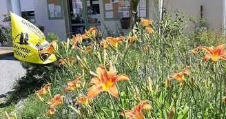 Camping insolite au Camping du Parc