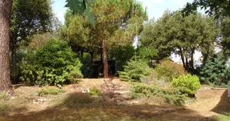 La Hulotte