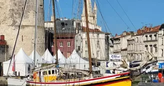 Sortie en mer demi journée sur le vieux gréement Albarquel