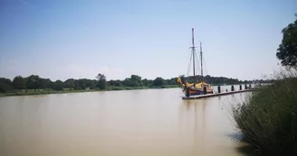 Sortie en mer demi journée sur le vieux gréement Albarquel