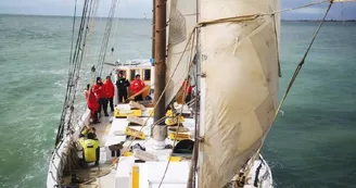 Sortie en mer demi journée sur le vieux gréement Albarquel