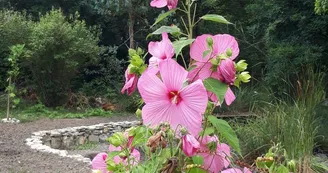 La Bulle d'Étang
