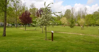 Arboretum