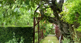 Jardin médiéval