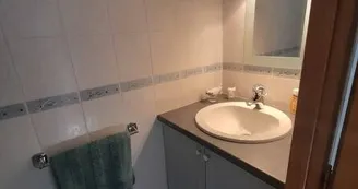 Les Oies Sauvages "Wild Geese"