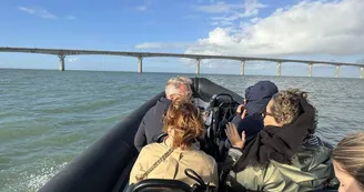 Balade en mer (1h) - TEX' La Rochelle Balade en mer (1h) - TEX' La Rochelle