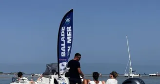 Balade en mer (1h) - TEX' La Rochelle Balade en mer (1h) - TEX' La Rochelle