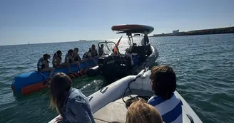 Balade en mer (1h) - TEX' La Rochelle Balade en mer (1h) - TEX' La Rochelle