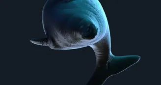 "Revivre , les espèces disparues" mapping-vidéo