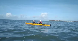 Randonnée en kayak vers l'ile de Ré au coeur du parc Marin  -Antioche Kayak