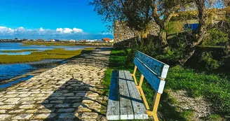 Aire de pique nique - La plage du Vieux Chapus