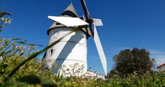 Journées européennes des moulins