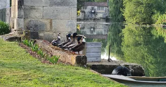 Gîte de la Cascade de Saintonge