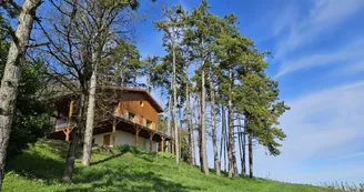 Cottage des pins - chalet dans les vignes