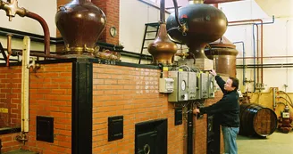 De Vitis, famille Quéron - Vignoble