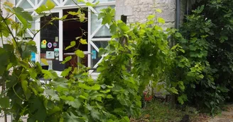 De Vitis, famille Quéron - Vignoble