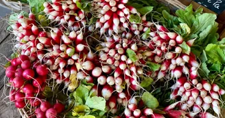 Marché de l'Accueillette du Mignon