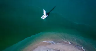 Canopée Voile - Balades en catamaran