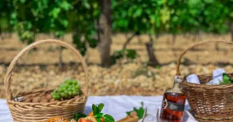 Distillerie les 1309