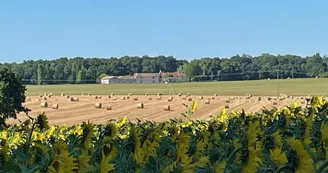 La distillerie de Challignac - 8pers