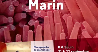 Exposition : Microcosme Marin