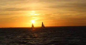 Sortie au coucher du soleil en catamaran - Ocean Cruise