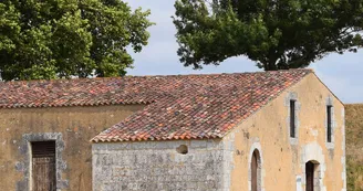 Exposition "À pas feutrés " - Emma Schnellbach