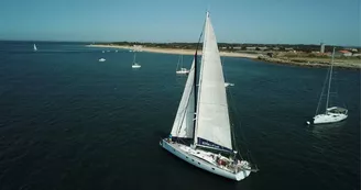 Estrella Lab