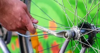 Cycles Braquet et Pignon
