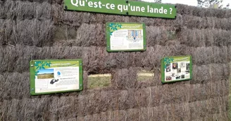 Landes de Haute-Saintonge