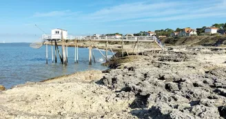 Camping insolite Côte de Beauté