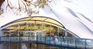 Activité Bébés Nageurs des Antilles de Jonzac