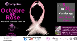 Exposition photographique - Octobre en rose