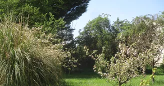 Gîte La Halte du Pinson Vert