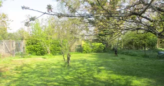 Gîte La Halte du Pinson Vert