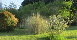 Gîte La Halte du Pinson Vert