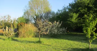 Gîte La Halte du Pinson Vert