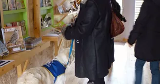 Espace d'accueil et muséographique de la réserve naturelle de Moëze-Oléron