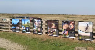 Espace d'accueil et muséographique de la réserve naturelle de Moëze-Oléron