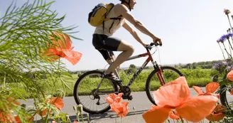 "D'une rive à l'autre" : Location de vélos