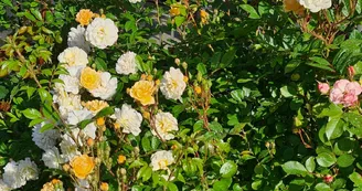 Villa 13 & 15 - Chambre Océan