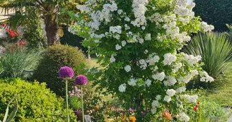 Villa 13 & 15 - Chambre Océan