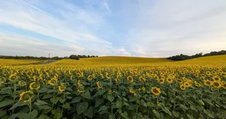 L'appartement Paulange - 2 pers