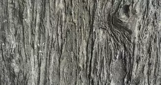 Exposition d'art : Livres en pierre