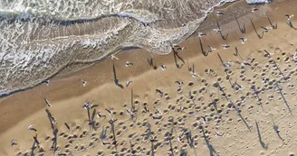 Exposition de photographie - Olivier Marsteau