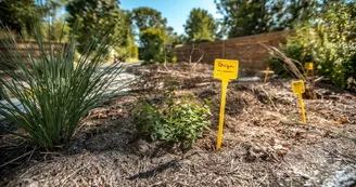 Camping insolite Fleurs des Champs