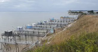 Camping insolite Fleurs des Champs