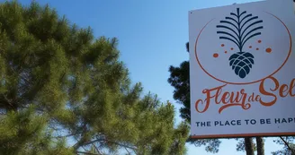 Camping insolite Les Pins de Sel